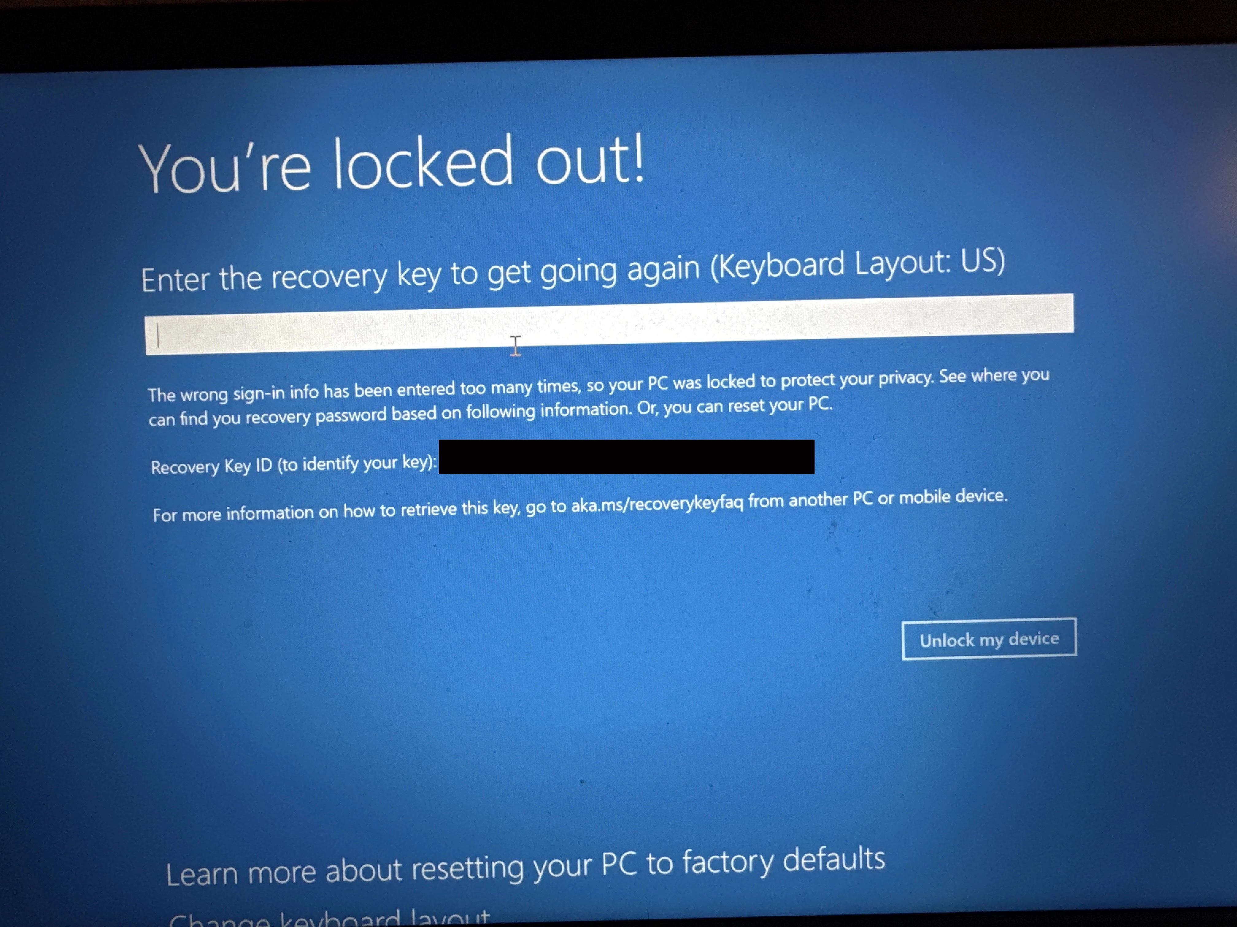 BitLocker Recovery Screen Displayed - Picture taken by Tobias Lieshoff